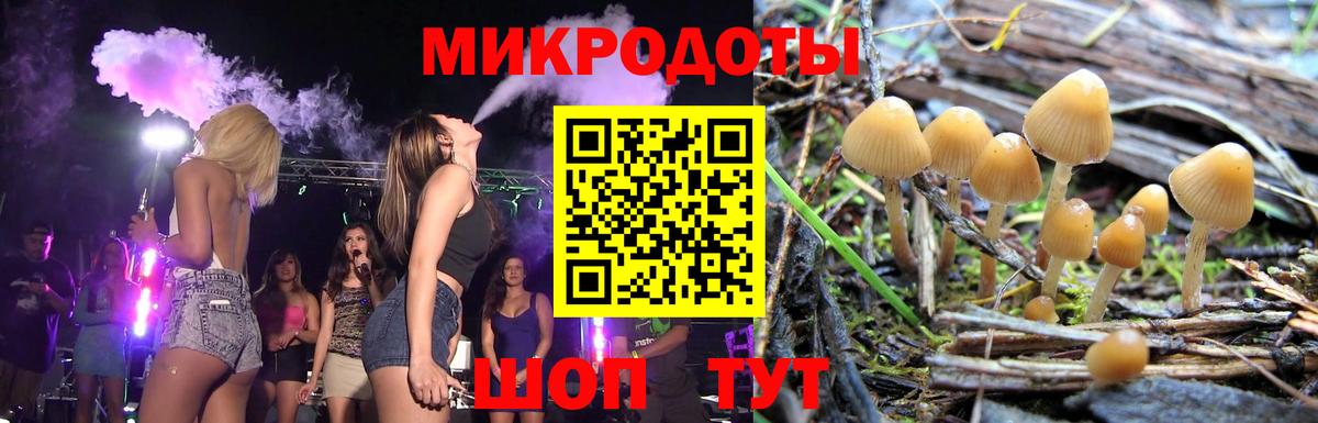 Галлюциногенные грибы прущие грибы  Псилоцибиновые грибы MAGIC MUSHROOMS  Вход с VPN  как найти   Клинцы 